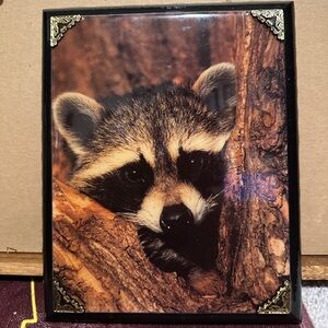 Vintage Racoon Wall Art
